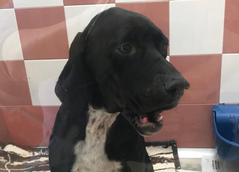 multimedia-foto66464-229-1