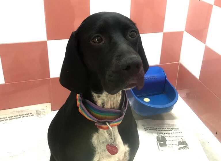 multimedia-foto66465-229-1