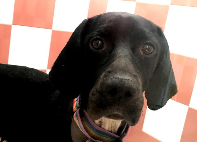 multimedia-foto66466-230-1