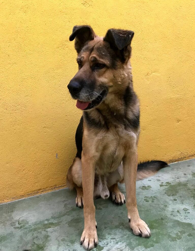 multimedia-foto66494-303-1