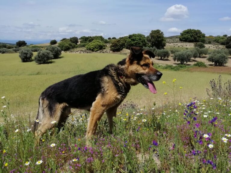 multimedia-foto66495-304-1