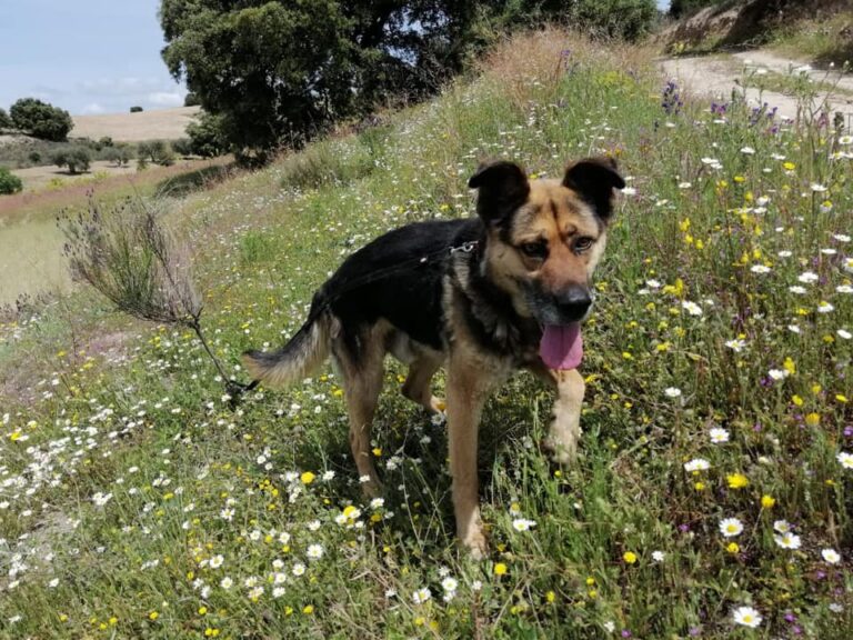 multimedia-foto66496-305-1