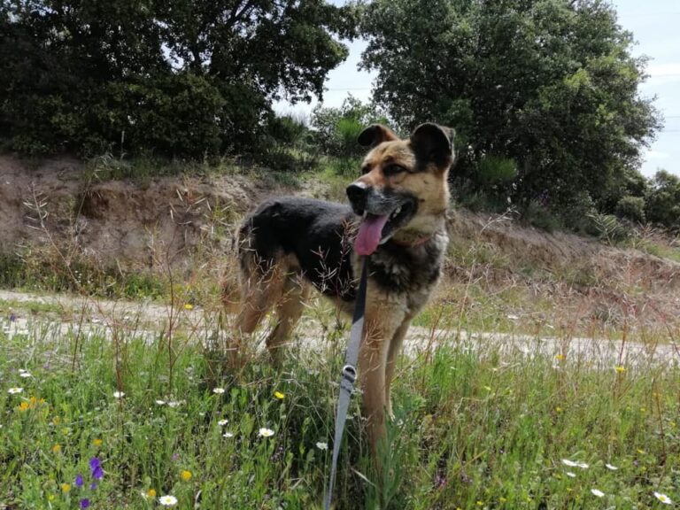 multimedia-foto66497-305-1