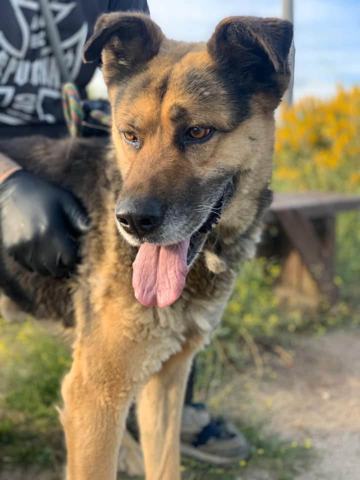 multimedia-foto66499-306-1