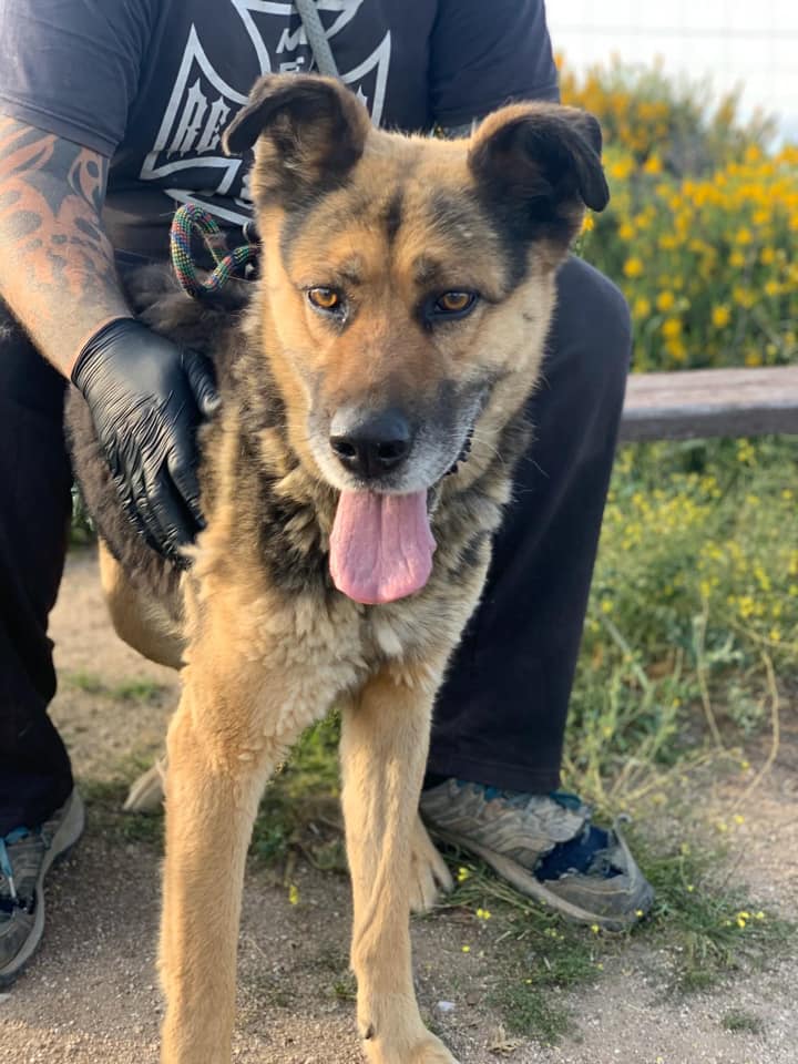 multimedia-foto66500-307-1