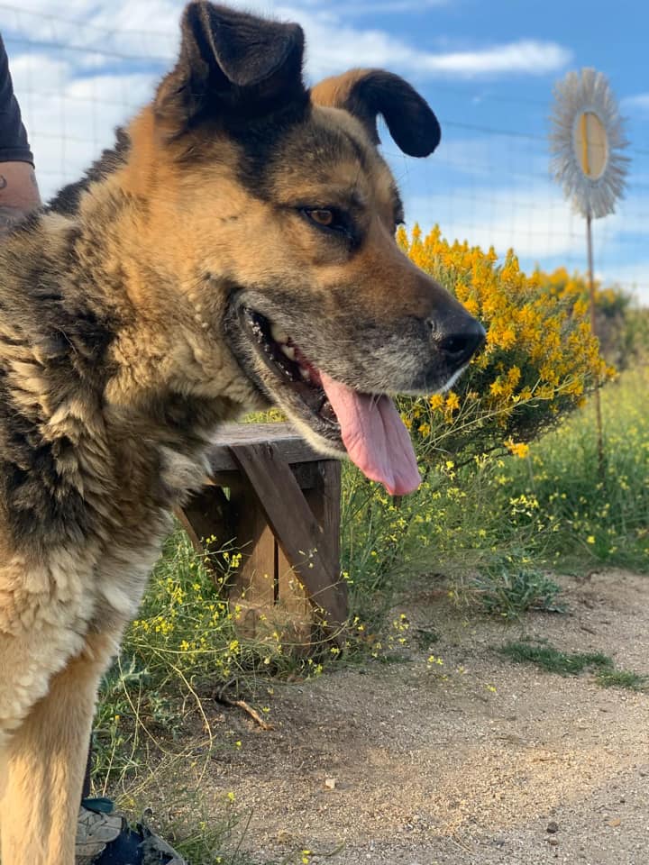 multimedia-foto66501-307-1