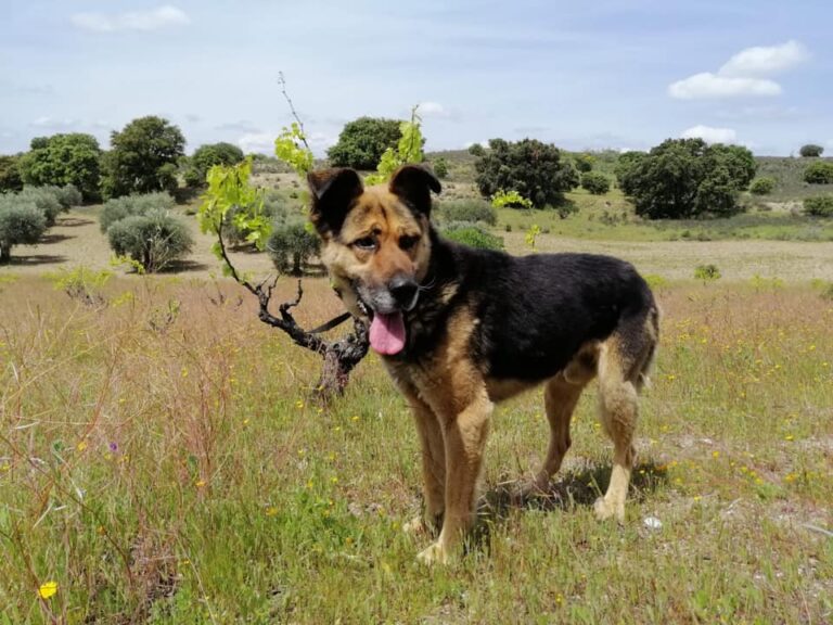 multimedia-foto66502-308-1