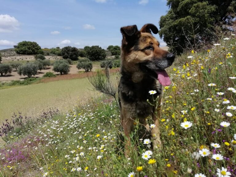 multimedia-foto66504-309-1