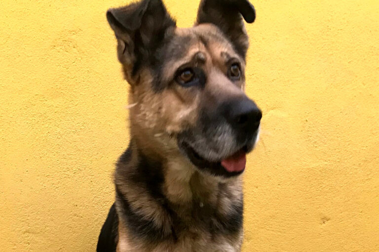 multimedia-foto66505-309-1