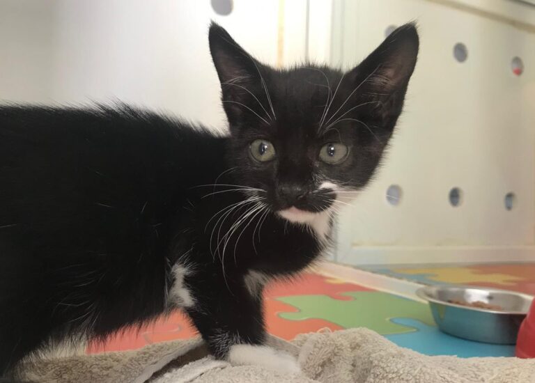 multimedia-foto66522-907-1