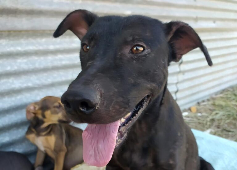 multimedia-foto66524-486-1