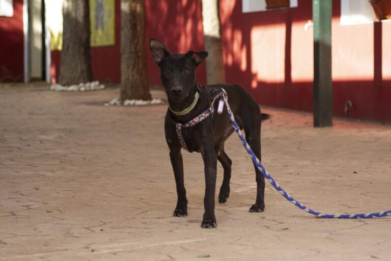 multimedia-foto66526-487-1