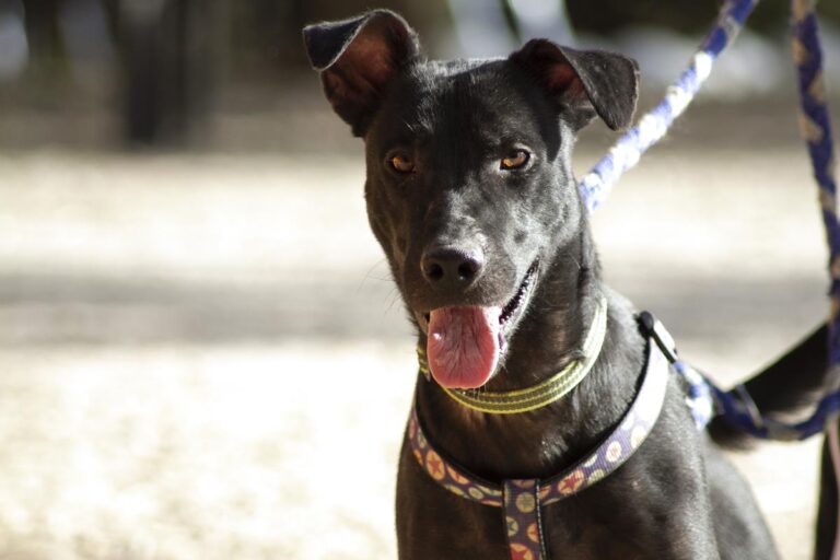 multimedia-foto66528-488-1