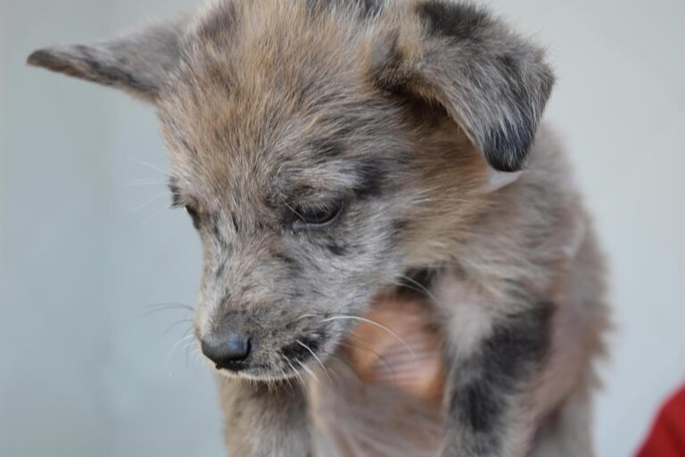 multimedia-foto66562-837-1