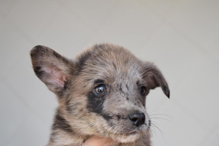 multimedia-foto66563-838-1