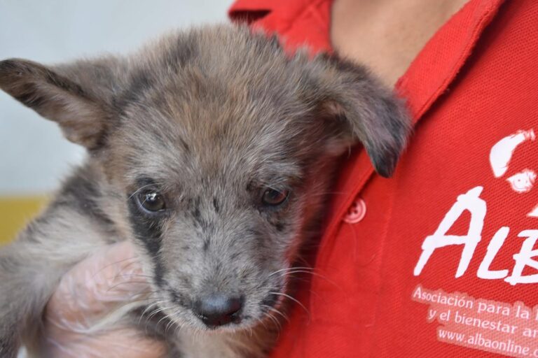 multimedia-foto66564-838-1