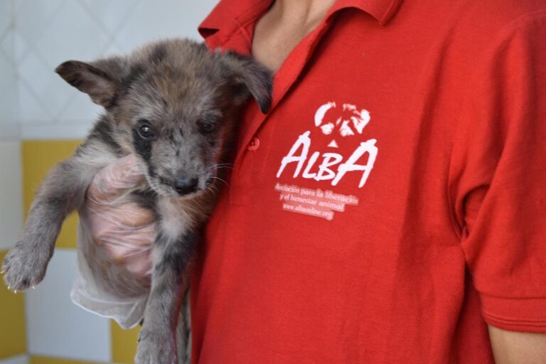 multimedia-foto66565-839-1