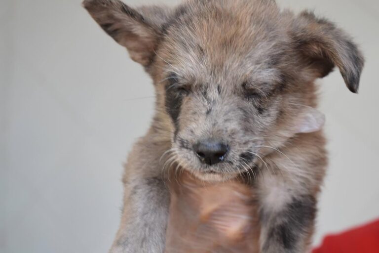 multimedia-foto66566-839-1