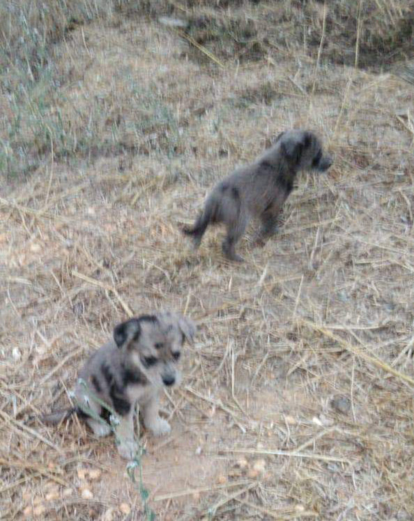 multimedia-foto66579-133-1