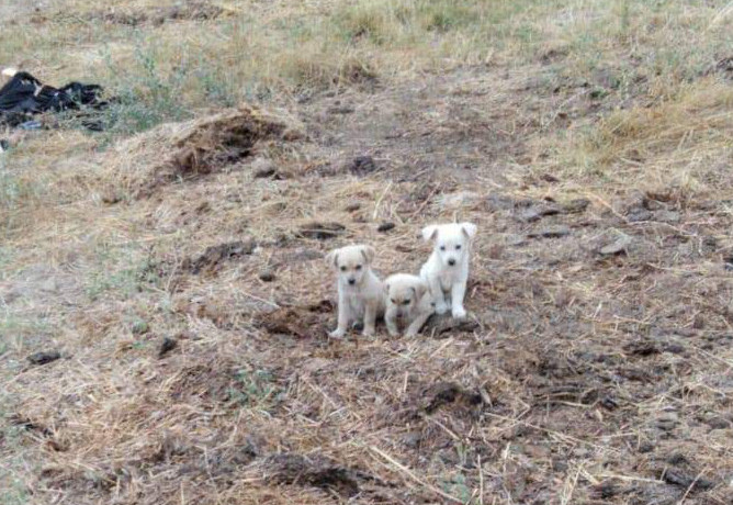 multimedia-foto66580-133-1