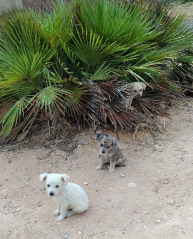 multimedia-foto66581-134-1