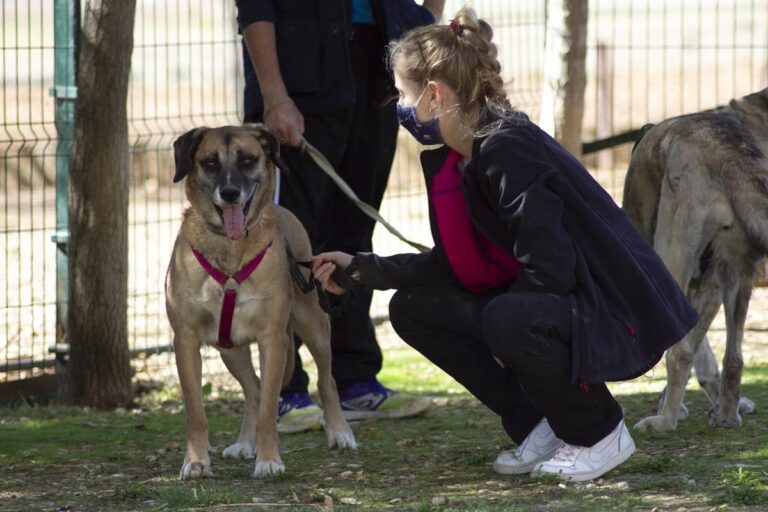 multimedia-foto66605-727-1