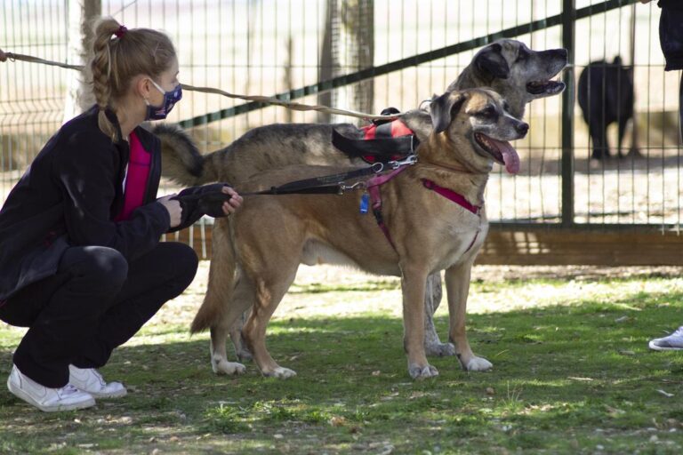 multimedia-foto66606-728-1