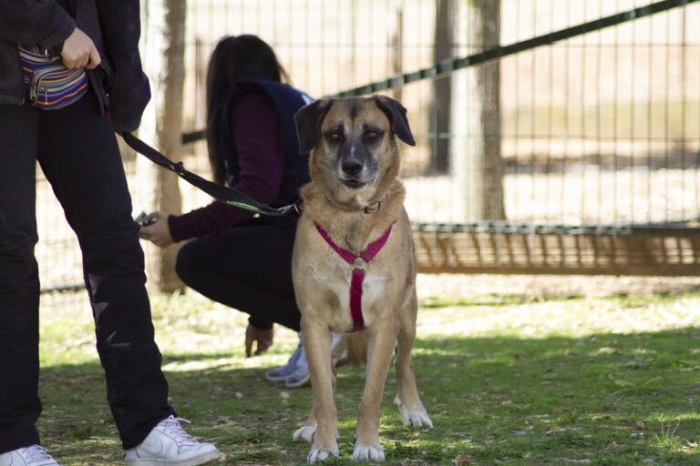 multimedia-foto66607-728-1