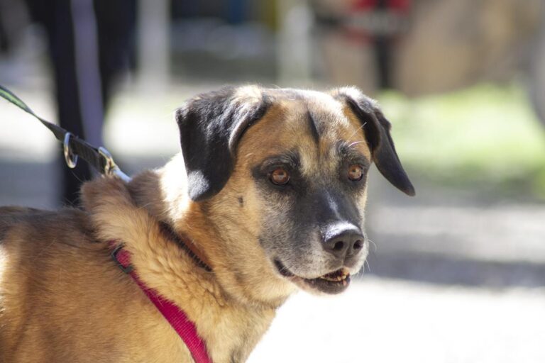 multimedia-foto66609-729-1