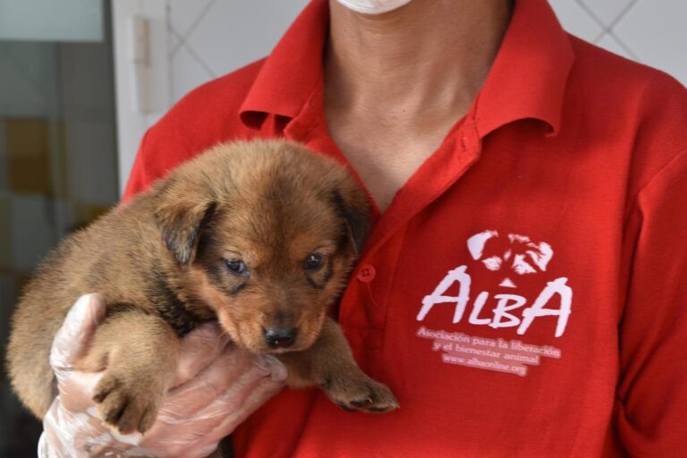 multimedia-foto66613-603-1