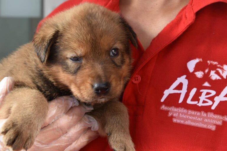 multimedia-foto66614-604-1