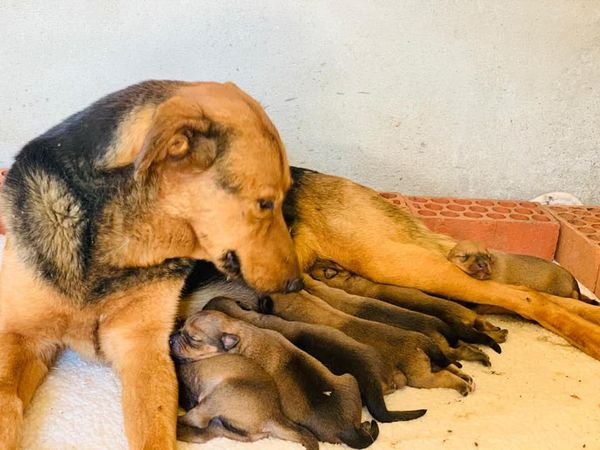 multimedia-foto66641-923-1