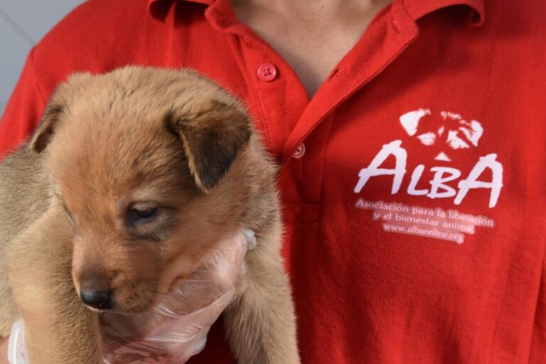 multimedia-foto66643-924-1