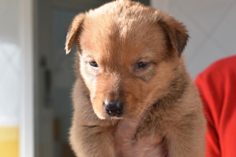 multimedia-foto66644-925-1