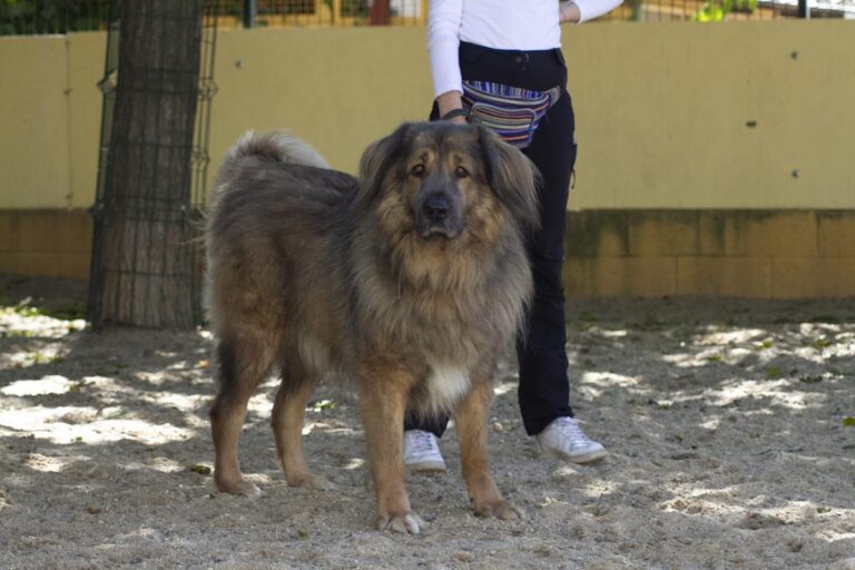 multimedia-foto66648-730-1