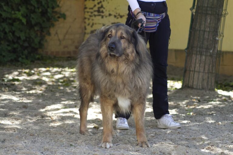 multimedia-foto66649-731-1