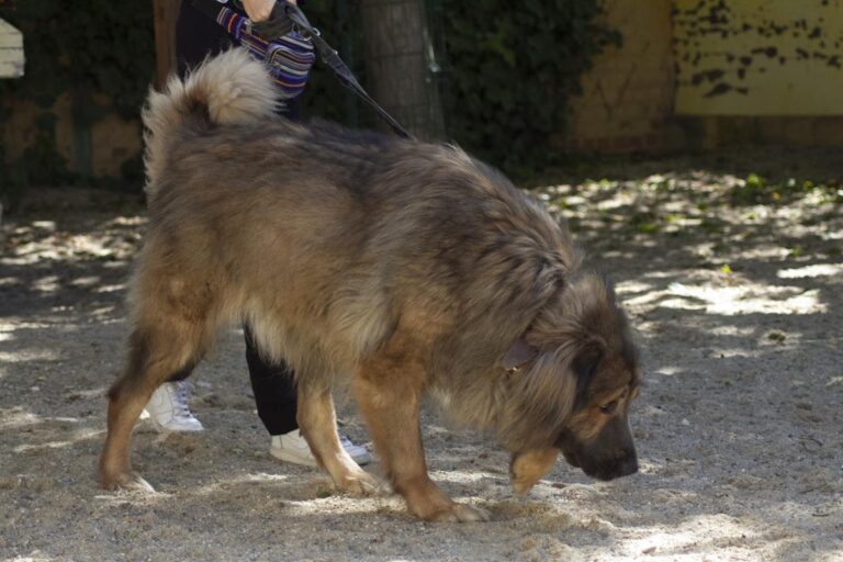 multimedia-foto66650-732-1