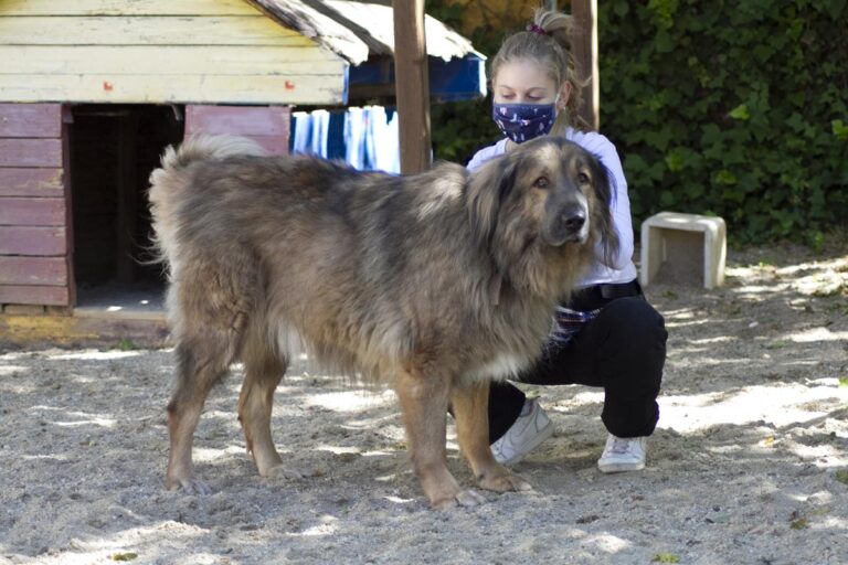 multimedia-foto66651-732-1