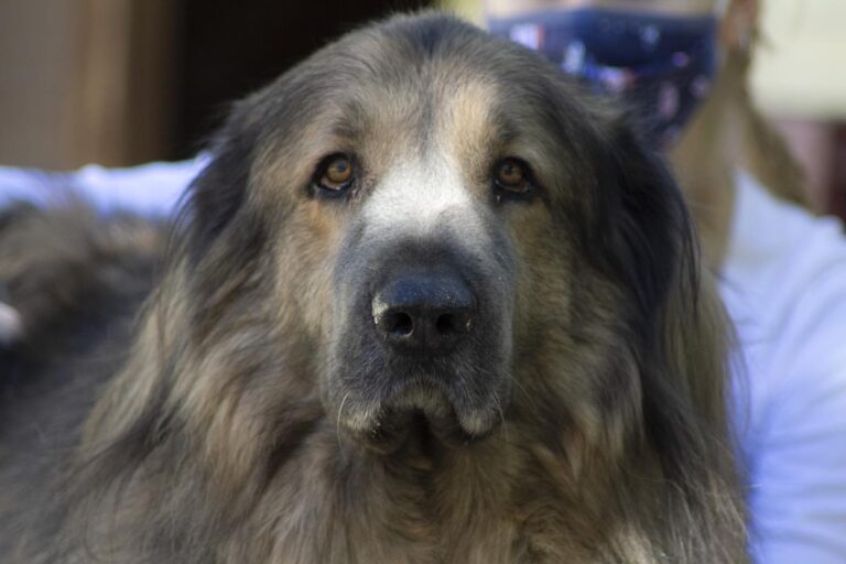 multimedia-foto66652-733-1