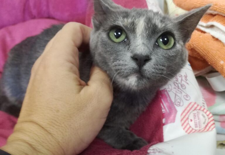 multimedia-foto66689-210-1