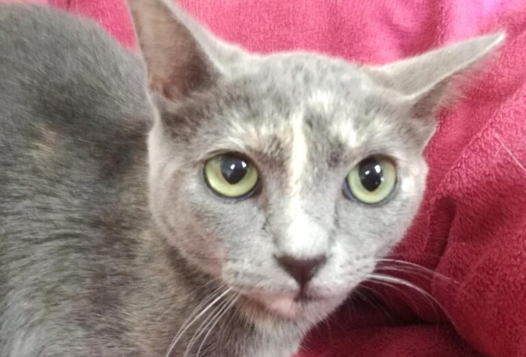 multimedia-foto66690-210-1