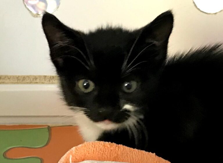 multimedia-foto66693-423-1