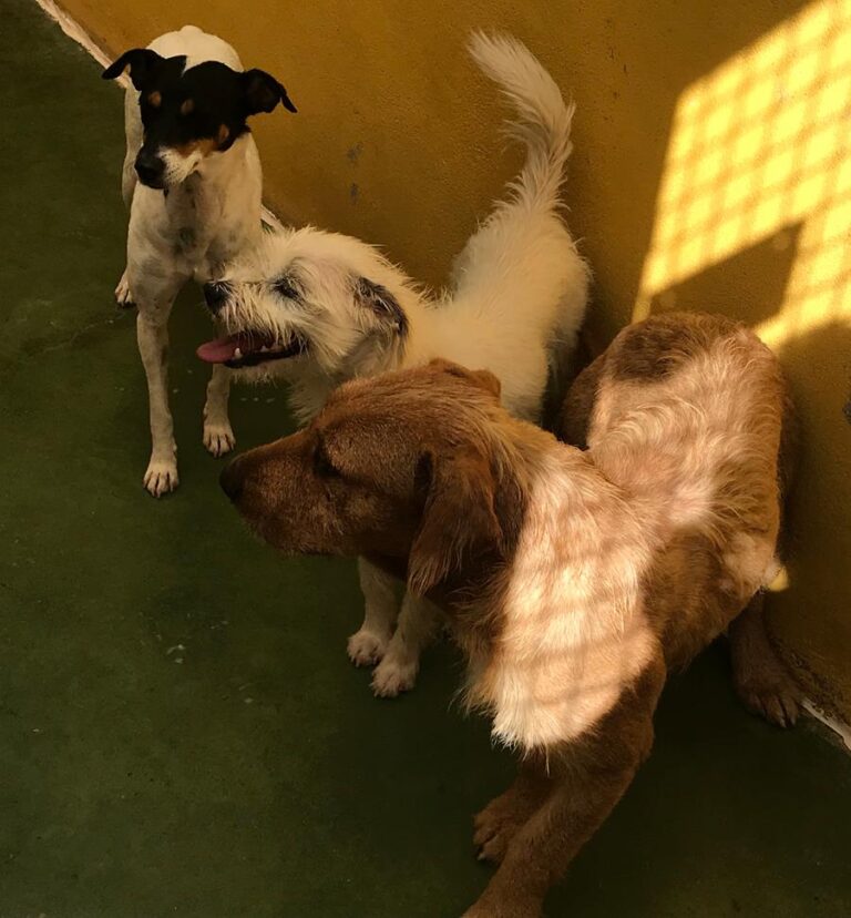 multimedia-foto66695-59-1