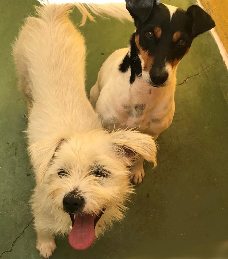 multimedia-foto66696-59-1