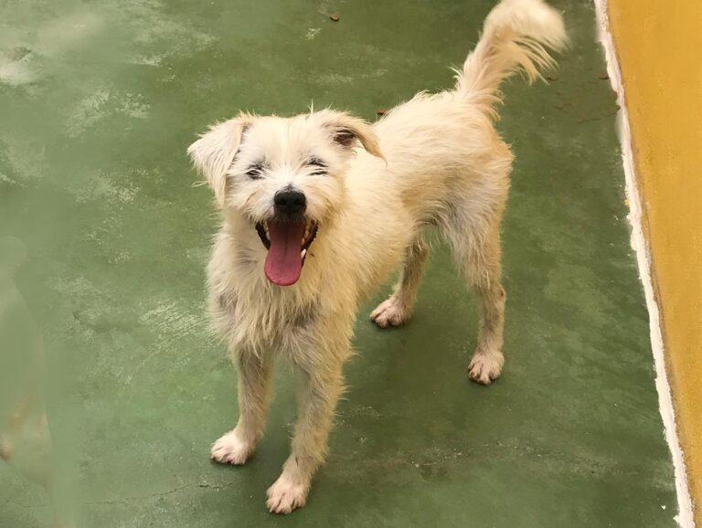 multimedia-foto66697-60-1