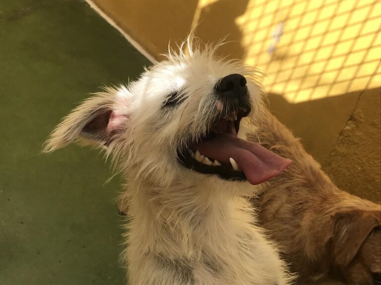 multimedia-foto66698-60-1