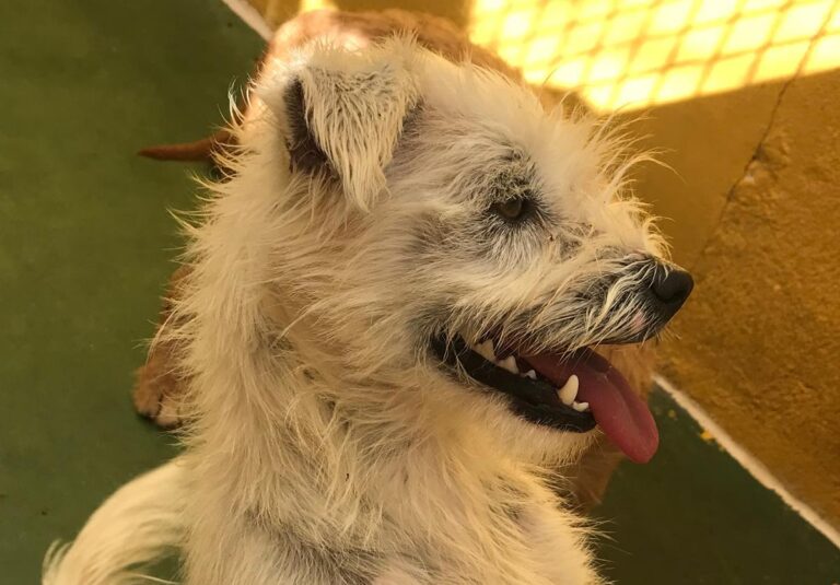 multimedia-foto66699-61-1