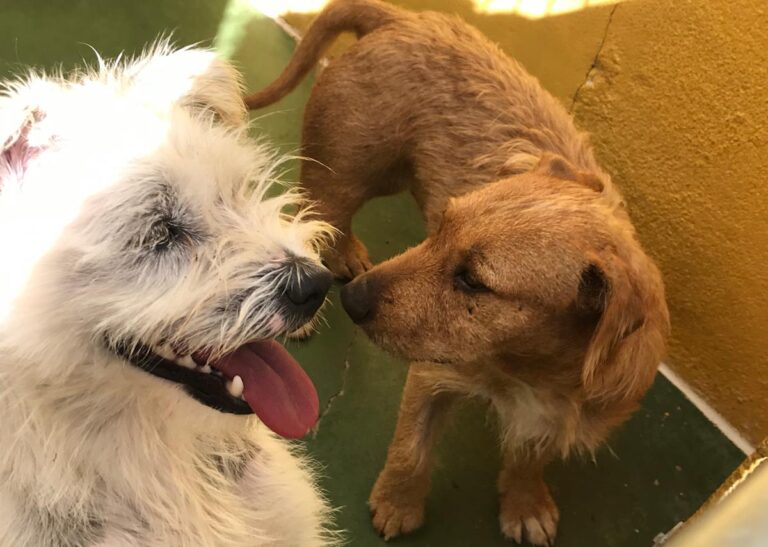 multimedia-foto66700-62-1