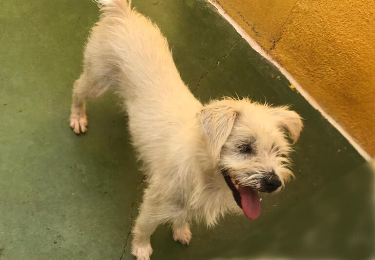 multimedia-foto66702-63-1