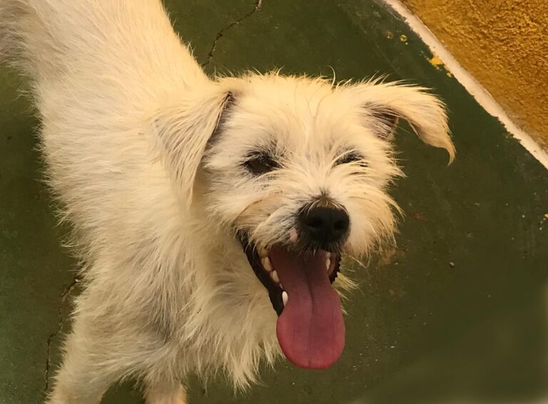 multimedia-foto66703-63-1